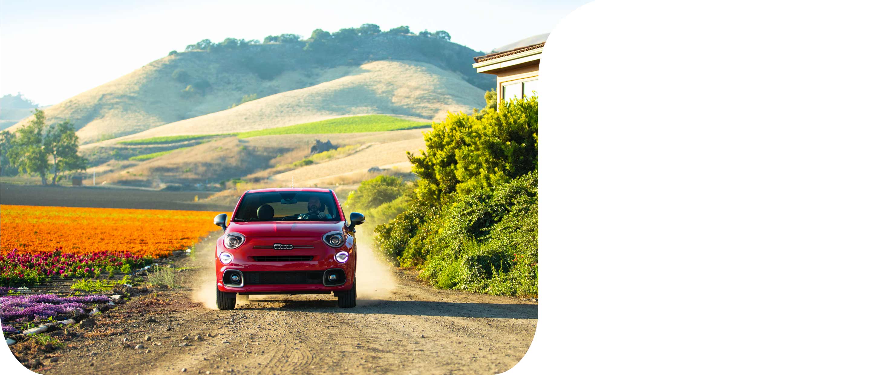 A head-on angle of a red 2023 Fiat 500X Sport being driven on a dirt road beside fields of purple, red, orange and yellow flowers.