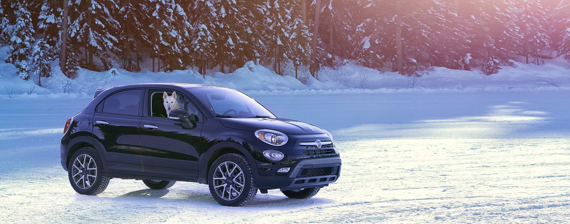 FIAT USA Official Site - New Cars & Crossovers.